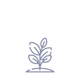 Lush Green Landscape