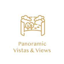 icon svg views icon svg views